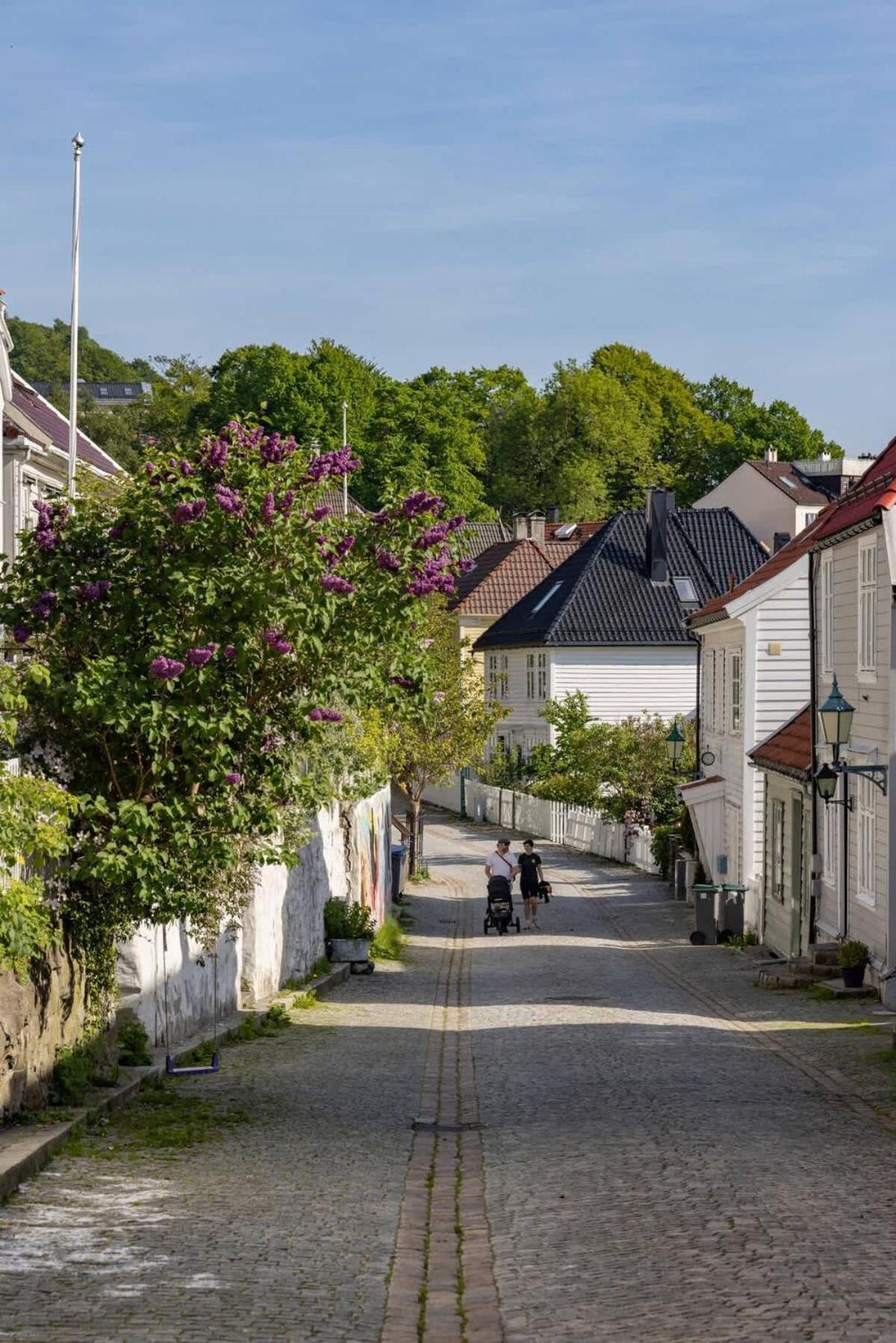 Feriehus Dinbnb L 600 M To Bryggen L 3-story House L New In 2023 Bergen